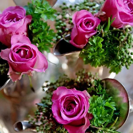 Sonne Interlaken-matten