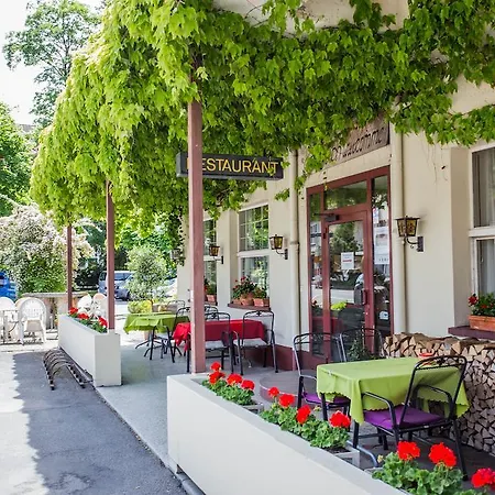 Oda ve Kahvaltı Sonne Interlaken-matten