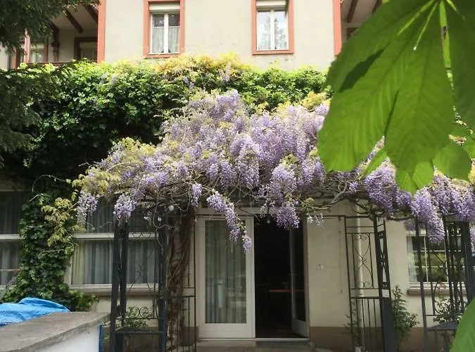 Sonne Interlaken-matten Bed and breakfast