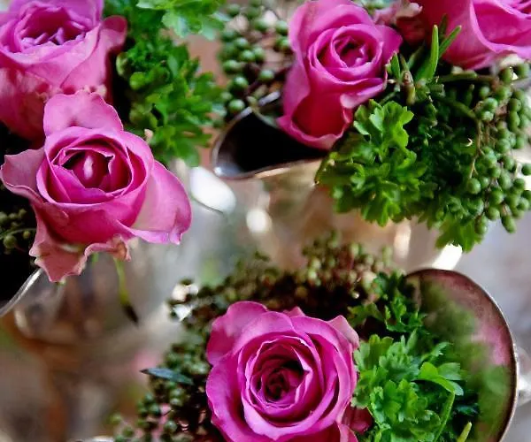 Sonne Interlaken-matten